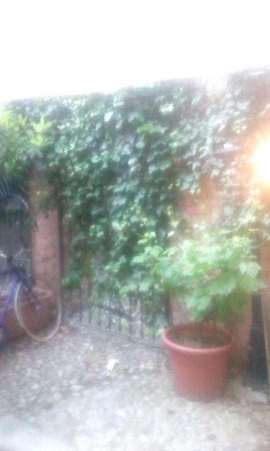 Central Apartment With Garden Milan Exterior photo